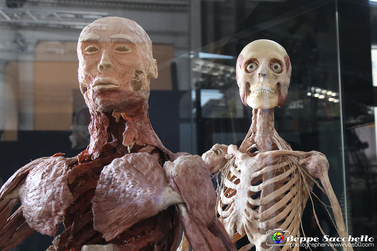 VBS_3022 - Mostra Body Worlds.jpg